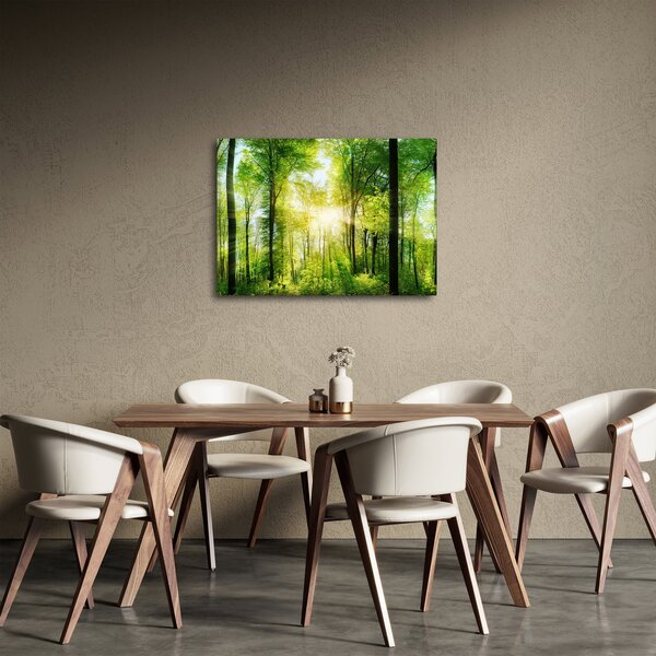 Obraz - Świt w lesie (70x50 cm)