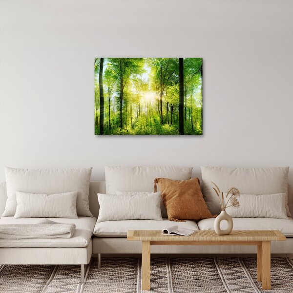 Obraz - Świt w lesie (70x50 cm)
