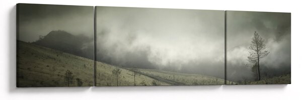 Obraz krajobrazu przed burzą (170x50 cm)