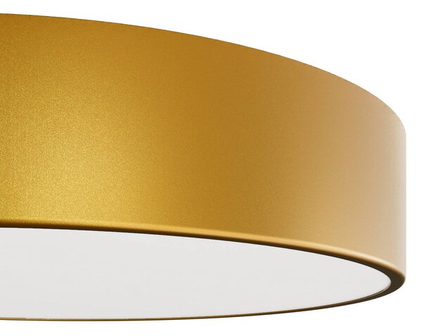 Plafon z czujnikiem ruchu Cleo 300 TEMAR LIGHTING, mosiężny / złoty, przedpokój, metal, nowoczesny