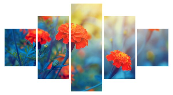Obraz - Pomarańczowe kwiaty (125x70 cm)