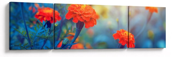 Obraz - Pomarańczowe kwiaty (170x50 cm)