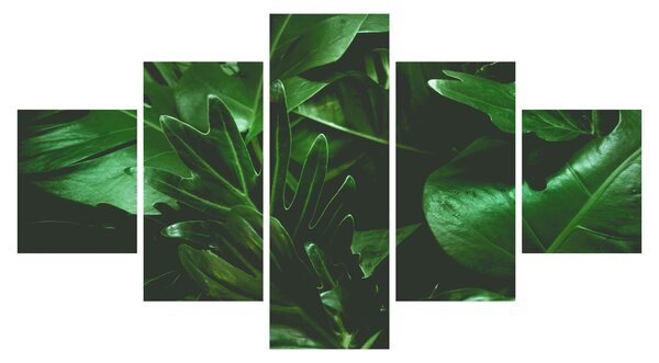 Obraz - Liście palmowe (125x70 cm)