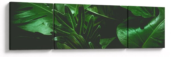 Obraz - Liście palmowe (170x50 cm)