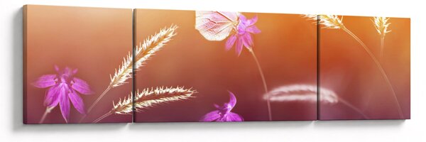Obraz - Różowy motyl (170x50 cm)