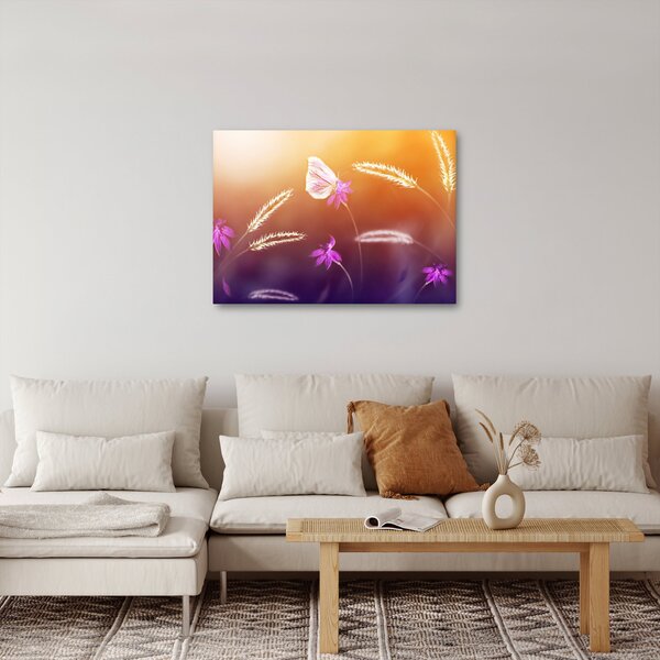 Obraz - Różowy motyl (70x50 cm)