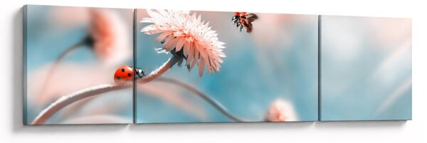 Obraz - Biedronka na kwiatku (170x50 cm)