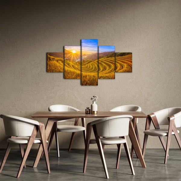 Obraz - Pole ryżowe w Wietnamie (125x70 cm)