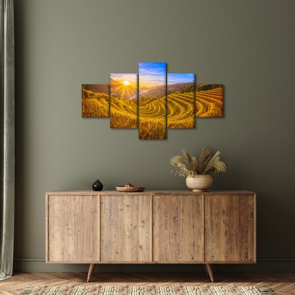 Obraz - Pole ryżowe w Wietnamie (125x70 cm)