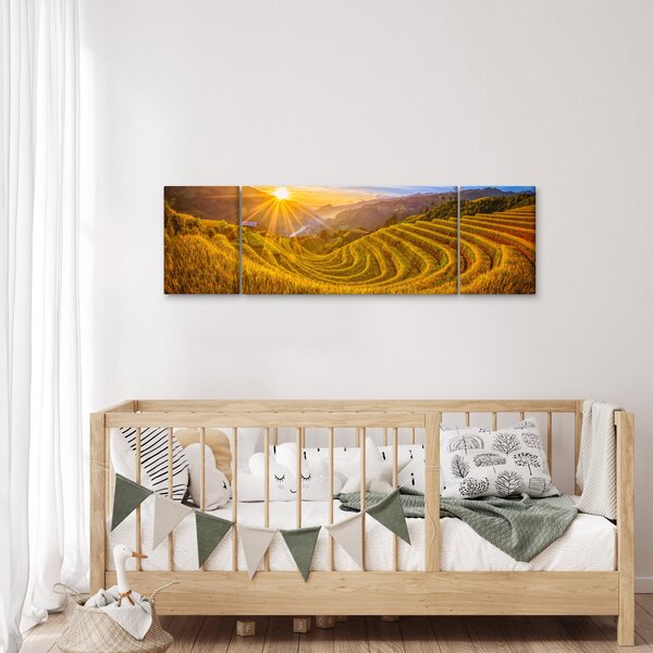 Obraz - Pole ryżowe w Wietnamie (170x50 cm)