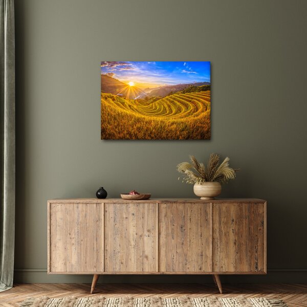 Obraz - Pole ryżowe w Wietnamie (70x50 cm)