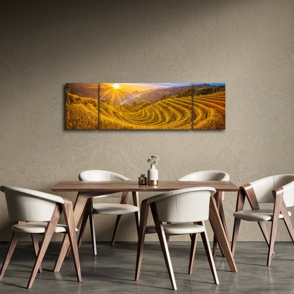 Obraz - Pole ryżowe w Wietnamie (170x50 cm)