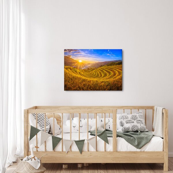 Obraz - Pole ryżowe w Wietnamie (70x50 cm)