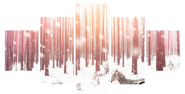 Obraz - Zebra w śnieżnym lesie (125x70 cm)