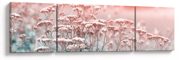 Obraz - Kwiaty polne (170x50 cm)