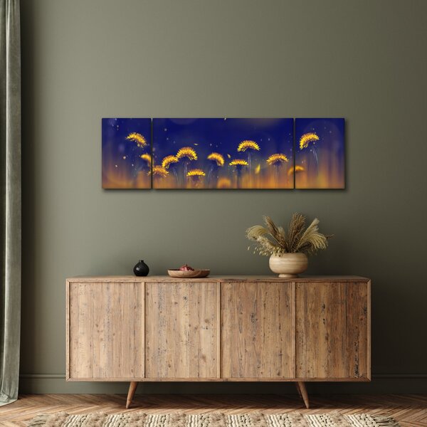 Obraz - Dmuchawce (170x50 cm)