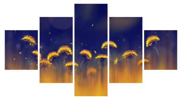 Obraz - Dmuchawce (125x70 cm)