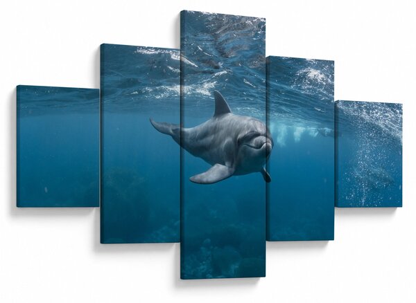 Obraz - Delfin pod wodą (125x70 cm)