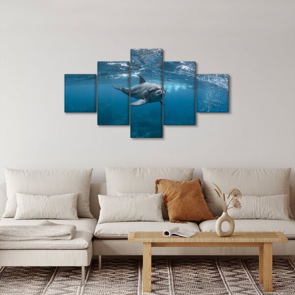 Obraz - Delfin pod wodą (125x70 cm)