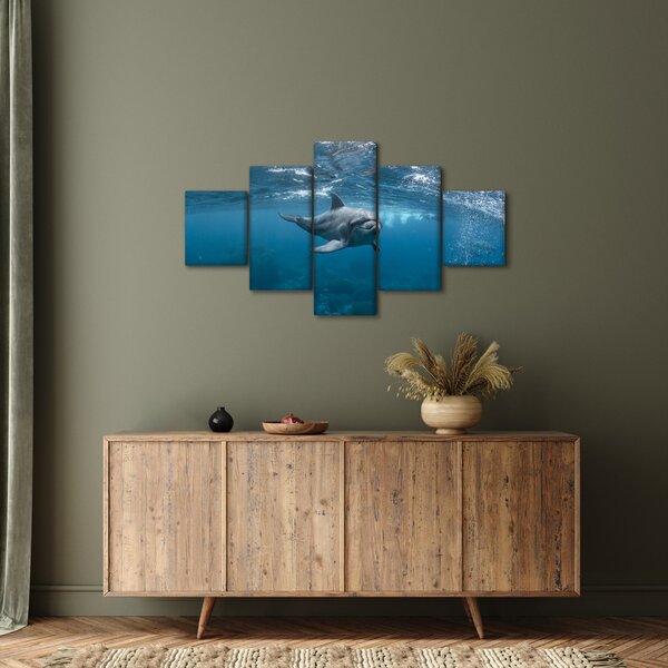 Obraz - Delfin pod wodą (125x70 cm)