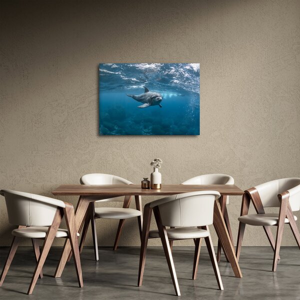 Obraz - Delfin pod wodą (70x50 cm)