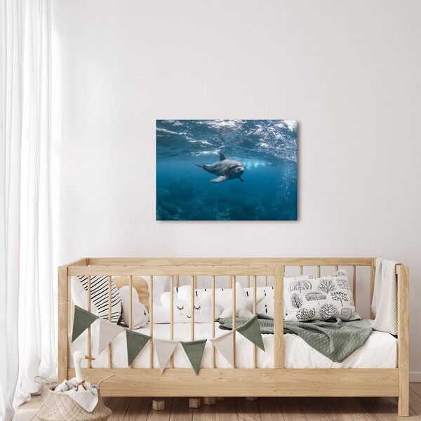Obraz - Delfin pod wodą (70x50 cm)