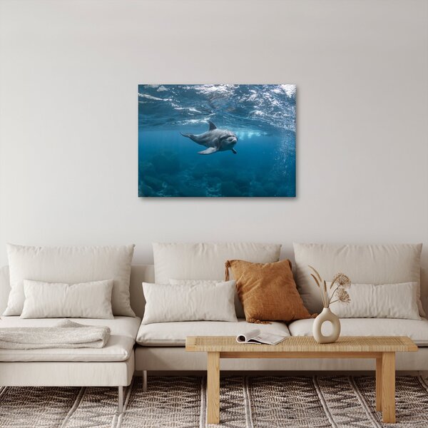 Obraz - Delfin pod wodą (70x50 cm)