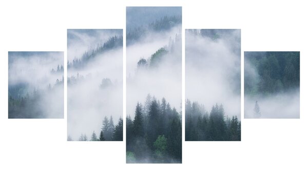 Obraz - Drzewa we mgle (125x70 cm)