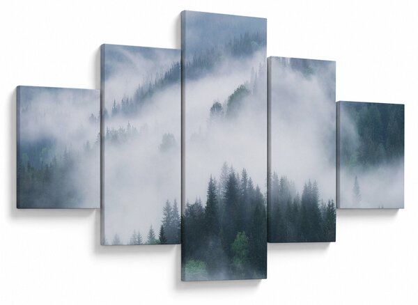 Obraz - Drzewa we mgle (125x70 cm)