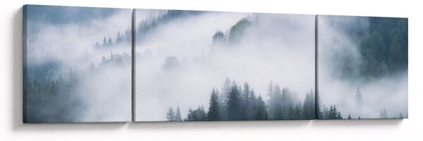 Obraz - Drzewa we mgle (170x50 cm)