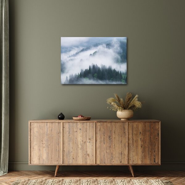 Obraz - Drzewa we mgle (70x50 cm)