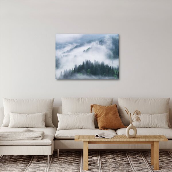 Obraz - Drzewa we mgle (70x50 cm)