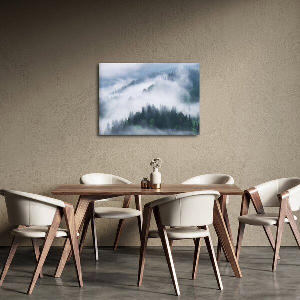 Obraz - Drzewa we mgle (70x50 cm)