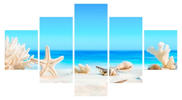 Obraz - Martwa natura z muszelkami (125x70 cm)