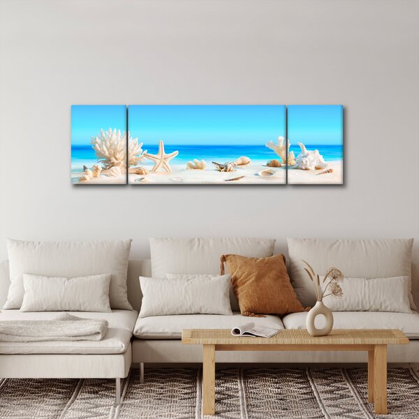 Obraz - Martwa natura z muszelkami (170x50 cm)