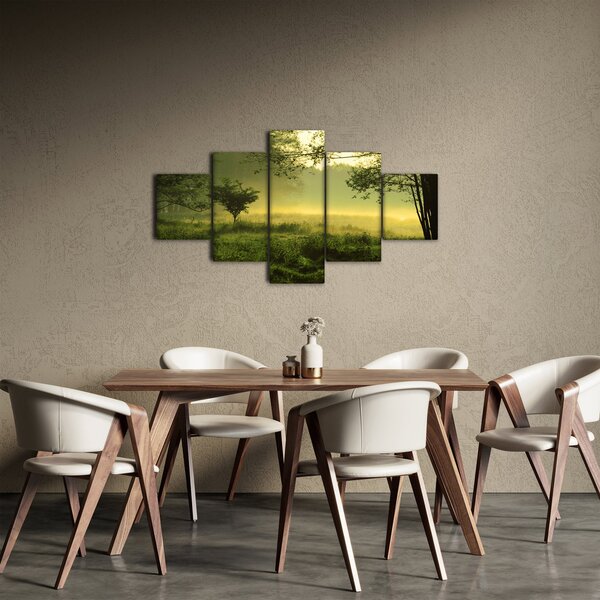 Obraz - Budzący się las (125x70 cm)