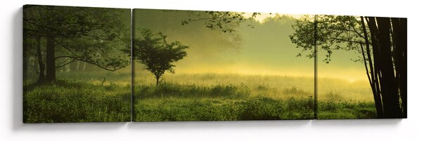 Obraz - Budzący się las (170x50 cm)