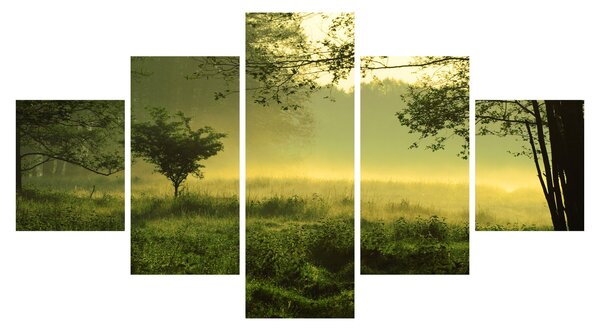 Obraz - Budzący się las (125x70 cm)