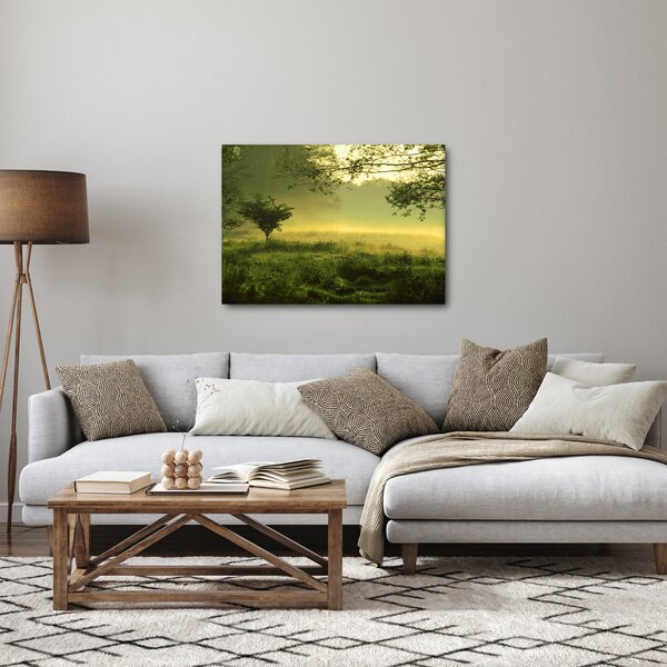 Obraz - Budzący się las (70x50 cm)