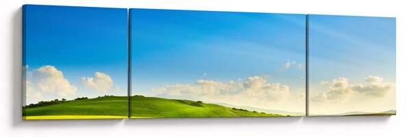 Obraz - Wiosenne niebo (170x50 cm)