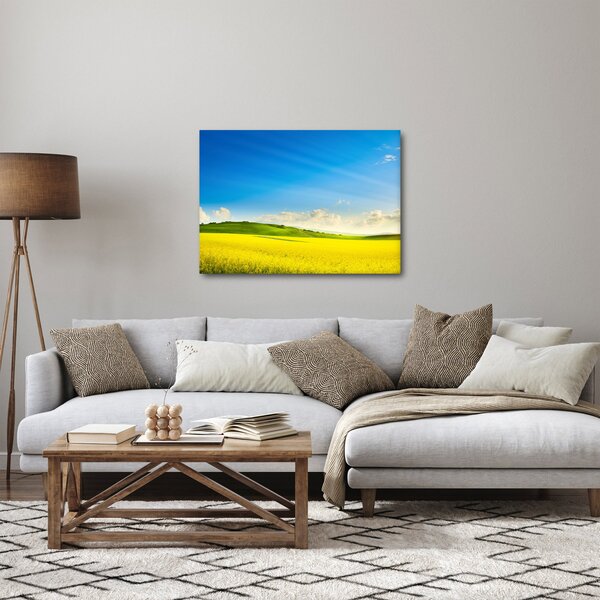 Obraz - Wiosenne niebo (70x50 cm)