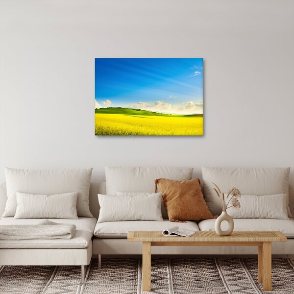 Obraz - Wiosenne niebo (70x50 cm)