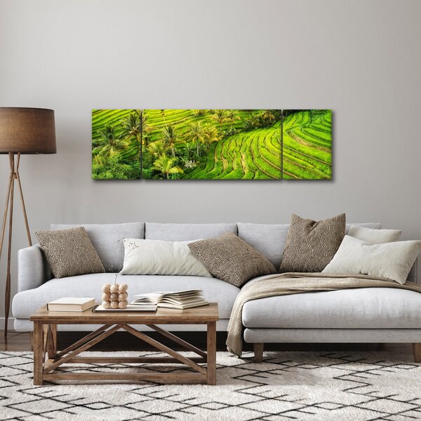 Obraz - Pola ryżowe (170x50 cm)