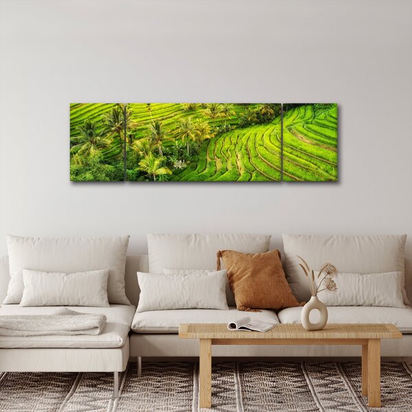 Obraz - Pola ryżowe (170x50 cm)