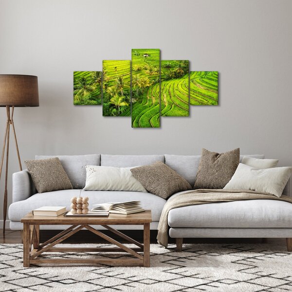 Obraz - Pola ryżowe (125x70 cm)