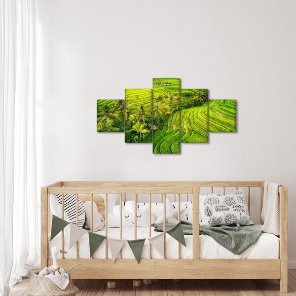 Obraz - Pola ryżowe (125x70 cm)