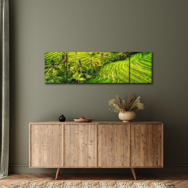 Obraz - Pola ryżowe (170x50 cm)
