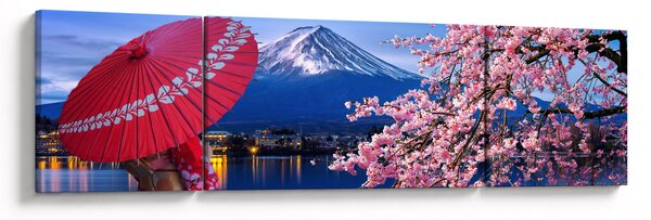 Obraz - Widok na szczyt, Japonia (170x50 cm)