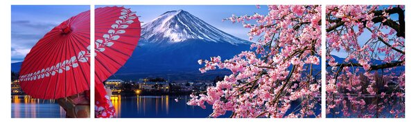 Obraz - Widok na szczyt, Japonia (170x50 cm)