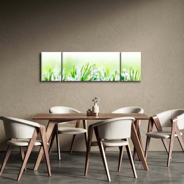 Obraz - Przebiśniegi (170x50 cm)